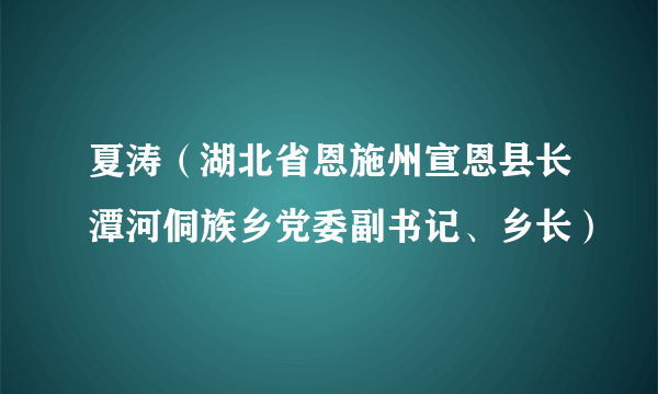 夏涛（湖北省恩施州宣恩县长潭河侗族乡党委副书记、乡长）