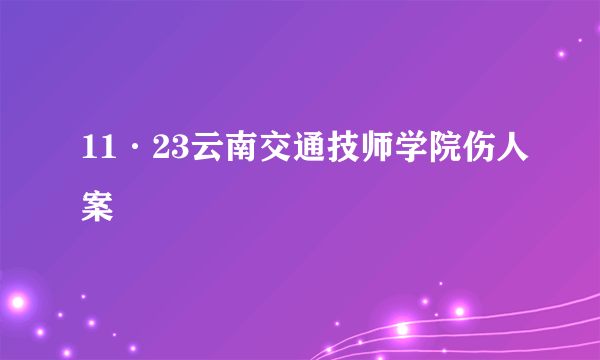 11·23云南交通技师学院伤人案