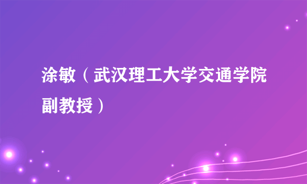 涂敏（武汉理工大学交通学院副教授）