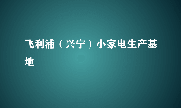 飞利浦（兴宁）小家电生产基地