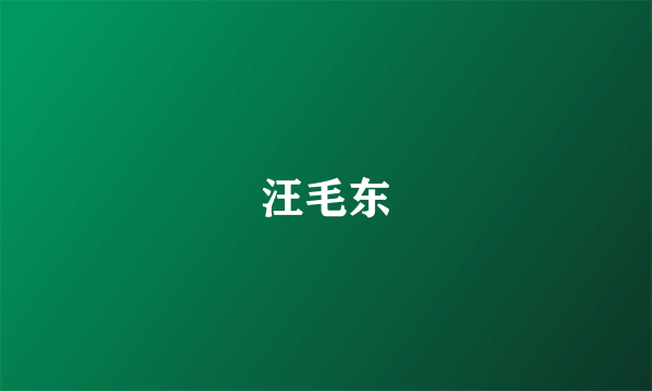 汪毛东