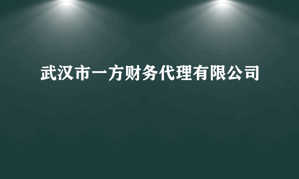 武汉市一方财务代理有限公司