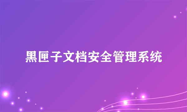 黑匣子文档安全管理系统