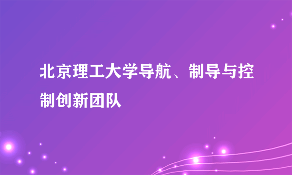 北京理工大学导航、制导与控制创新团队