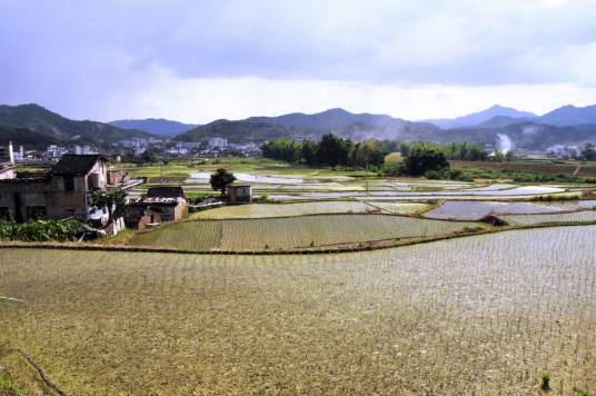 大浦村（元江县因远镇北泽村民委员会下辖村）