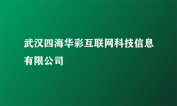 武汉四海华彩互联网科技信息有限公司