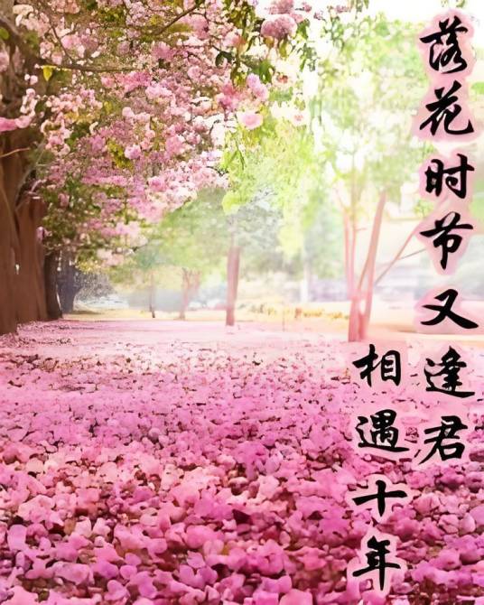 落花时节又逢君，相遇十年