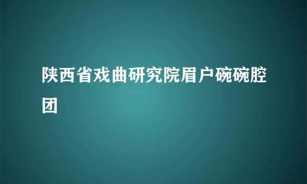 陕西省戏曲研究院眉户碗碗腔团