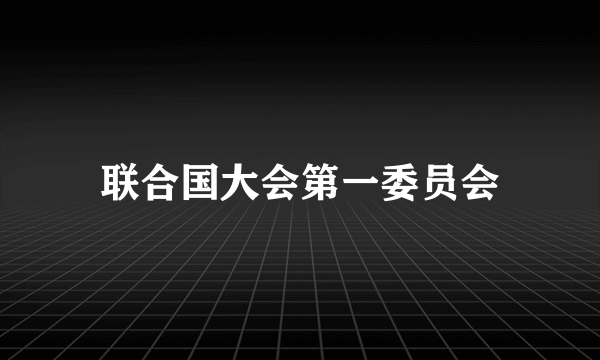 联合国大会第一委员会