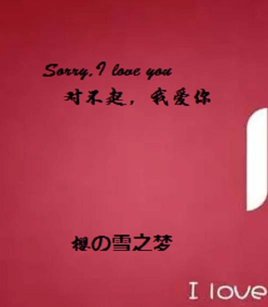 Sorry,I love you 对不起，我爱你