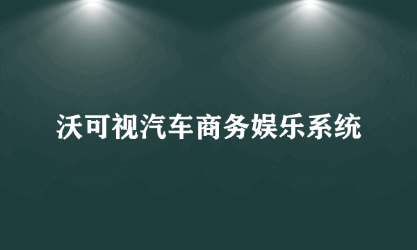 沃可视汽车商务娱乐系统