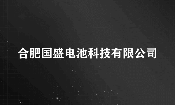 合肥国盛电池科技有限公司