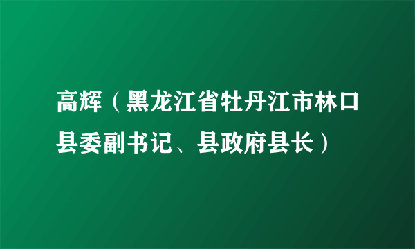 高辉（黑龙江省牡丹江市林口县委副书记、县政府县长）