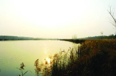 砀山黄河故道