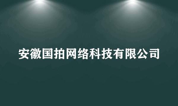 安徽国拍网络科技有限公司