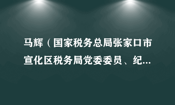 马辉（国家税务总局张家口市宣化区税务局党委委员、纪检组组长）