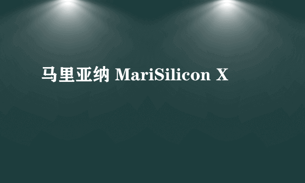 马里亚纳 MariSilicon X