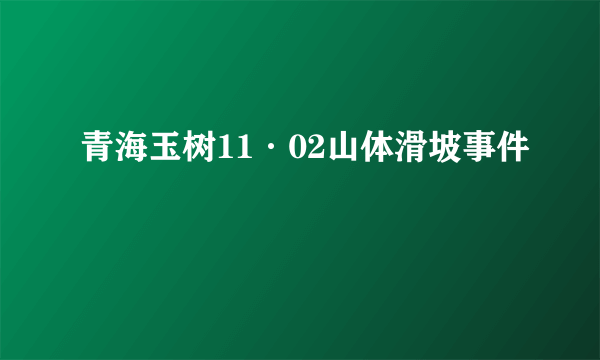 青海玉树11·02山体滑坡事件