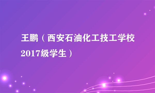 王鹏（西安石油化工技工学校2017级学生）