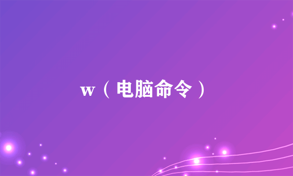 w（电脑命令）