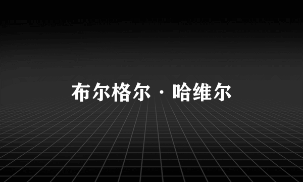 布尔格尔·哈维尔