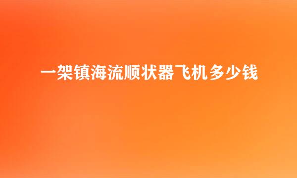 一架镇海流顺状器飞机多少钱