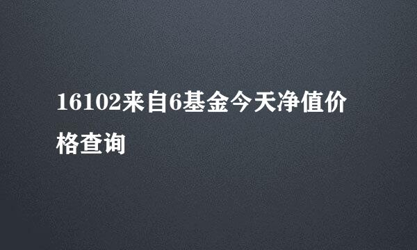 16102来自6基金今天净值价格查询