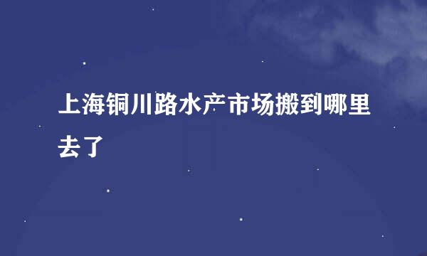 上海铜川路水产市场搬到哪里去了