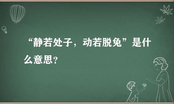 “静若处子，动若脱兔”是什么意思？