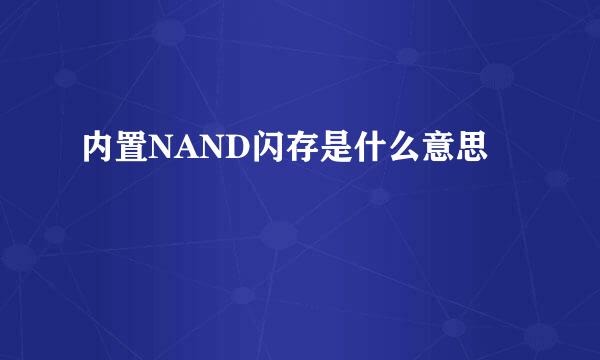 内置NAND闪存是什么意思