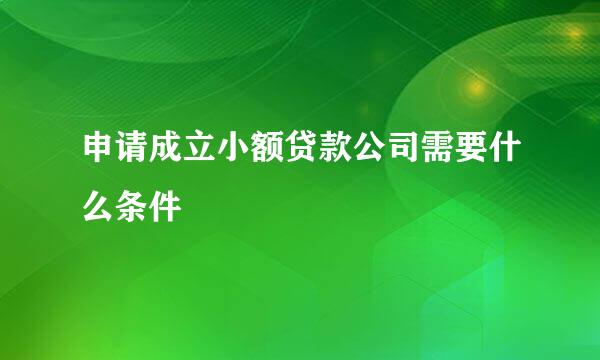 申请成立小额贷款公司需要什么条件