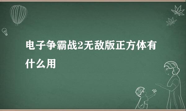 电子争霸战2无敌版正方体有什么用