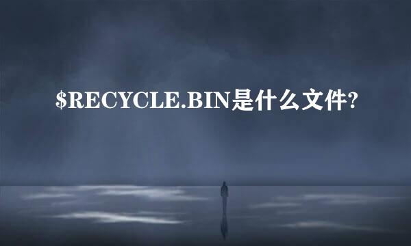 $RECYCLE.BIN是什么文件?