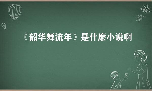 《韶华舞流年》是什麽小说啊