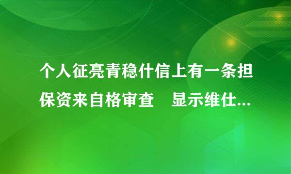 个人征亮青稳什信上有一条担保资来自格审查 显示维仕担保有限公司 不太明白是这个