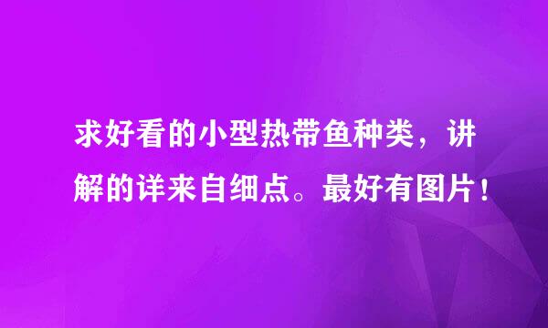 求好看的小型热带鱼种类，讲解的详来自细点。最好有图片！