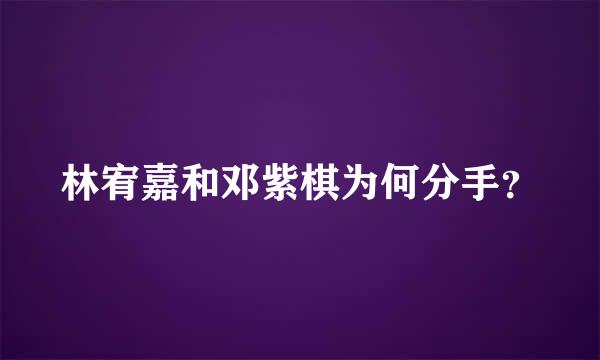 林宥嘉和邓紫棋为何分手？