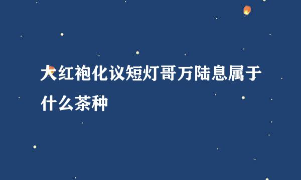 大红袍化议短灯哥万陆息属于什么茶种