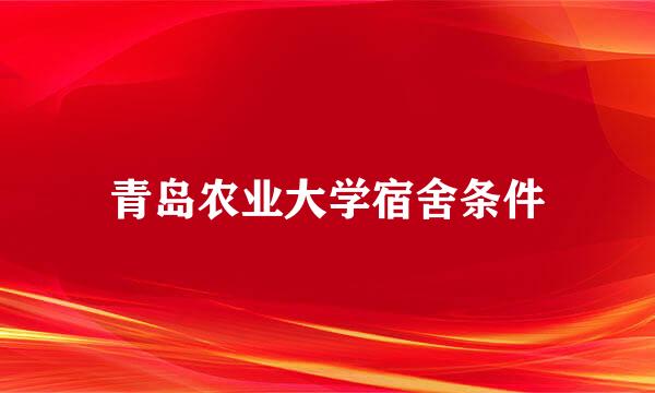 青岛农业大学宿舍条件