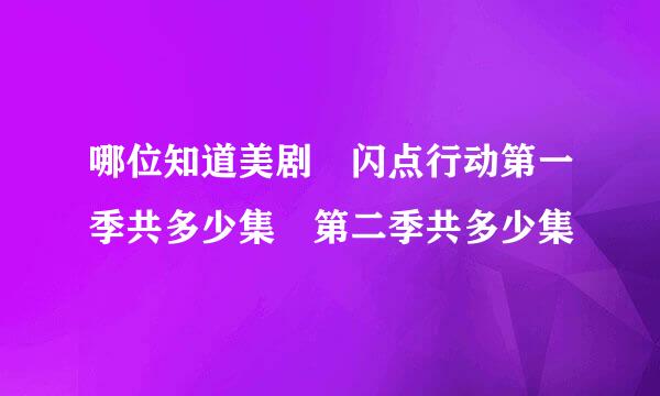 哪位知道美剧 闪点行动第一季共多少集 第二季共多少集