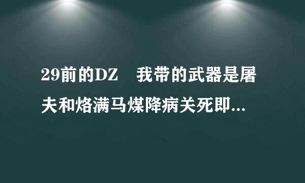 29前的DZ 我带的武器是屠夫和烙满马煤降病关死即房铁棍 该F什么