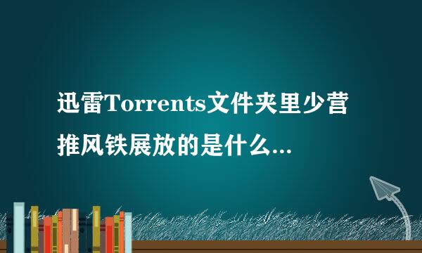 迅雷Torrents文件夹里少营推风铁展放的是什么?能删吗?