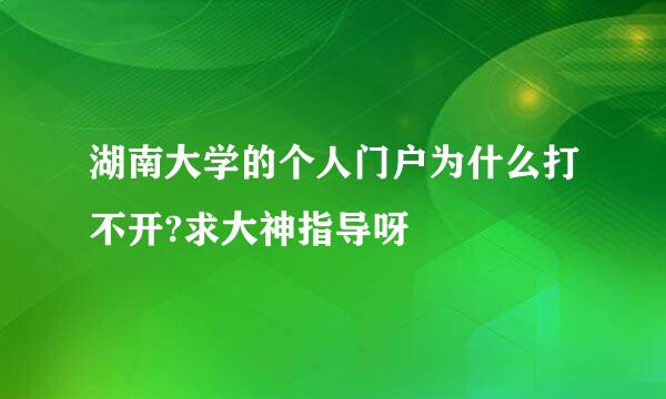 湖南大学的个人门户为什么打不开?求大神指导呀