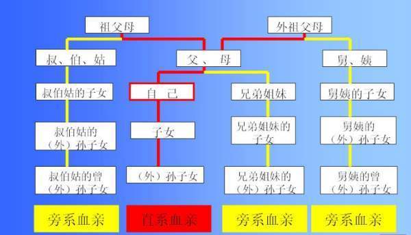 旁系血亲是什么意思