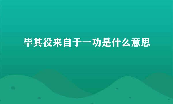 毕其役来自于一功是什么意思