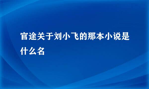 官途关于刘小飞的那本小说是什么名