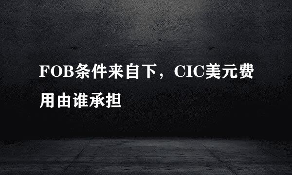 FOB条件来自下，CIC美元费用由谁承担