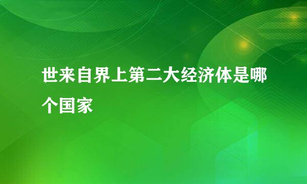 世来自界上第二大经济体是哪个国家