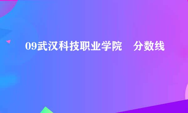 09武汉科技职业学院 分数线