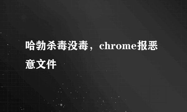 哈勃杀毒没毒，chrome报恶意文件